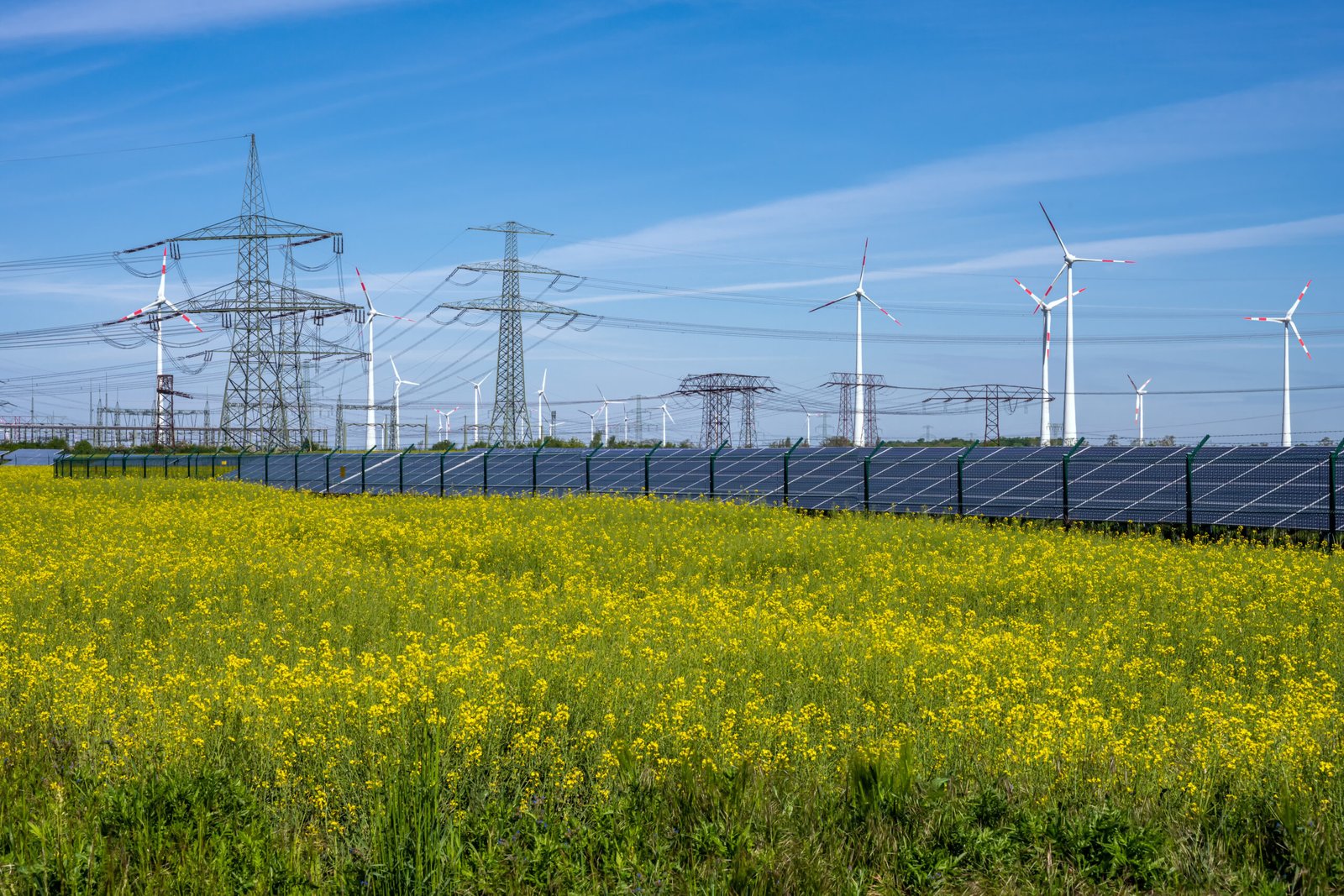 Energy Markets